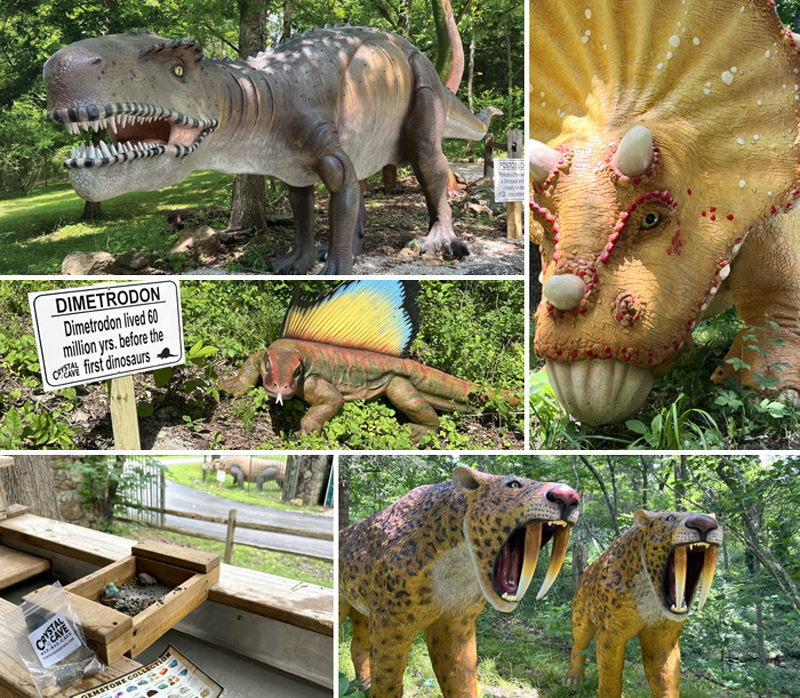 Crystal Cave - The Dino Trail - Springfield, Missouri - Fantastic Cave Underground - Guided Cave Tours - Family Fun