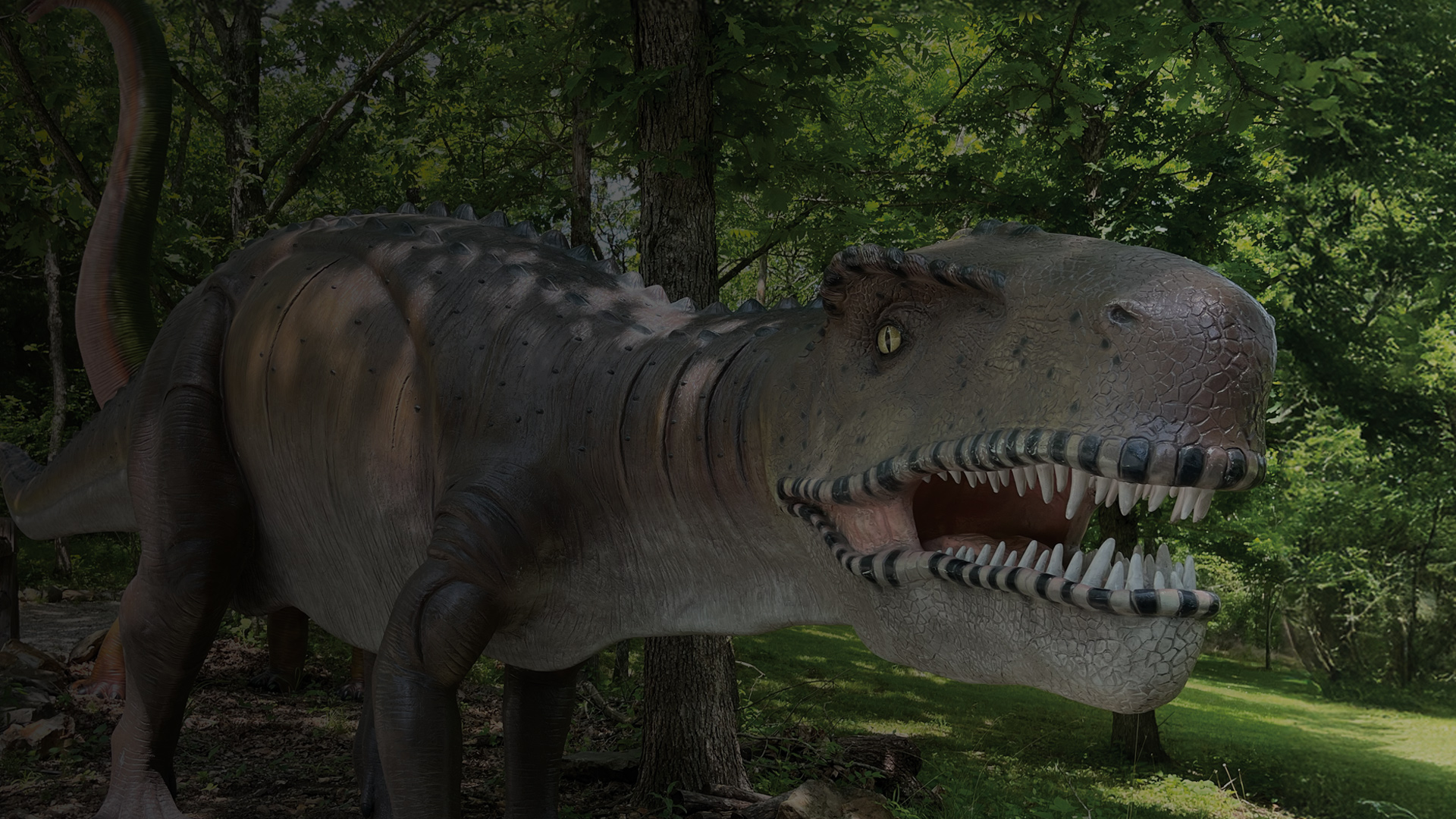 Crystal Cave - Dino Trail - Dinosaur Park near me in Springfield, MO - Triceratops - Family Adventure Park - Spectacular Underground Cave - Historic Cave Exploration - Springfield Missouri