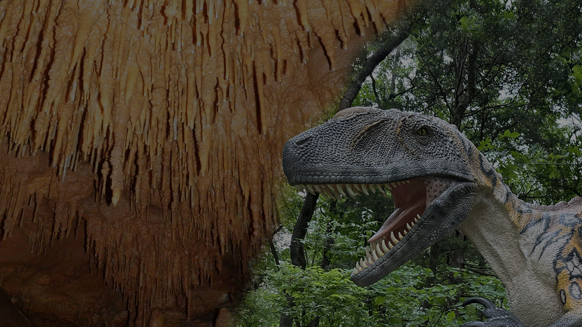 Crystal Cave Springfield Missouri - Fantastic Cave - Exploring Crystal Cave - Dinosaur Trail - See Dinosaurs - Prehistoric Animals - Dino Ride - Field Trip - Educational Tours