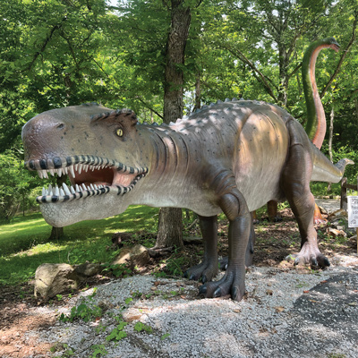 Dinosaure Trail - Nature Trail- Dino Trail - Cave Tours - Crystal Cave, Springfield Missouri